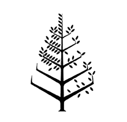 Four Seasons Hotel Cairo at the First Residence Logo